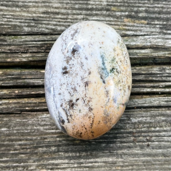 Ocean Jasper Palm - Picture 4 of 5